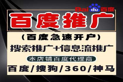 搜索引擎营销（SEM）服务案例分享